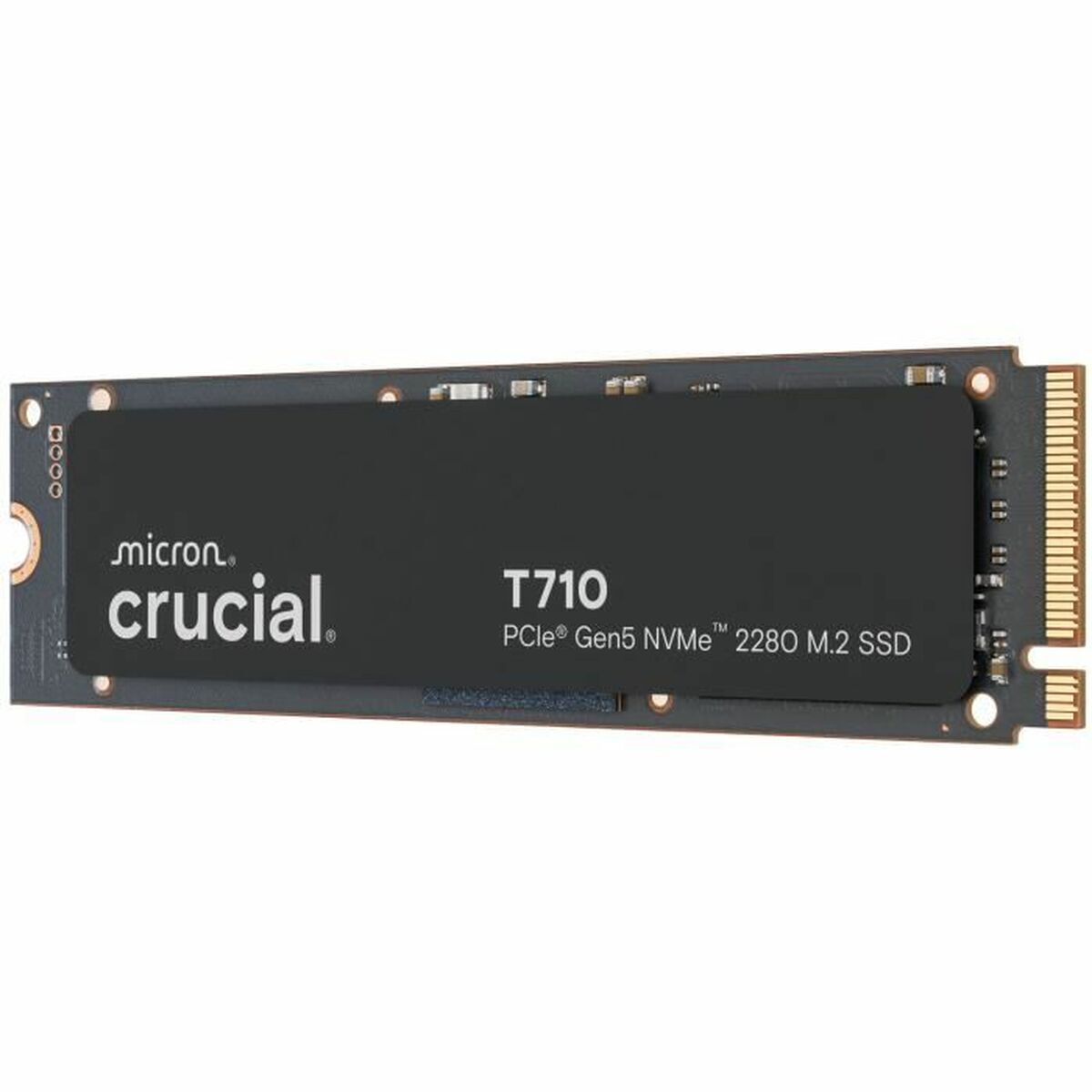 Hard Disk Crucial Ct1000t710ssd8