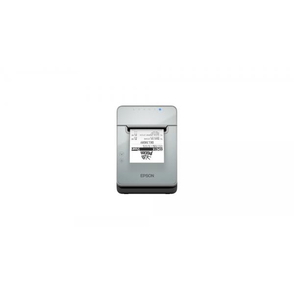 Epson Tm L100 (121)
