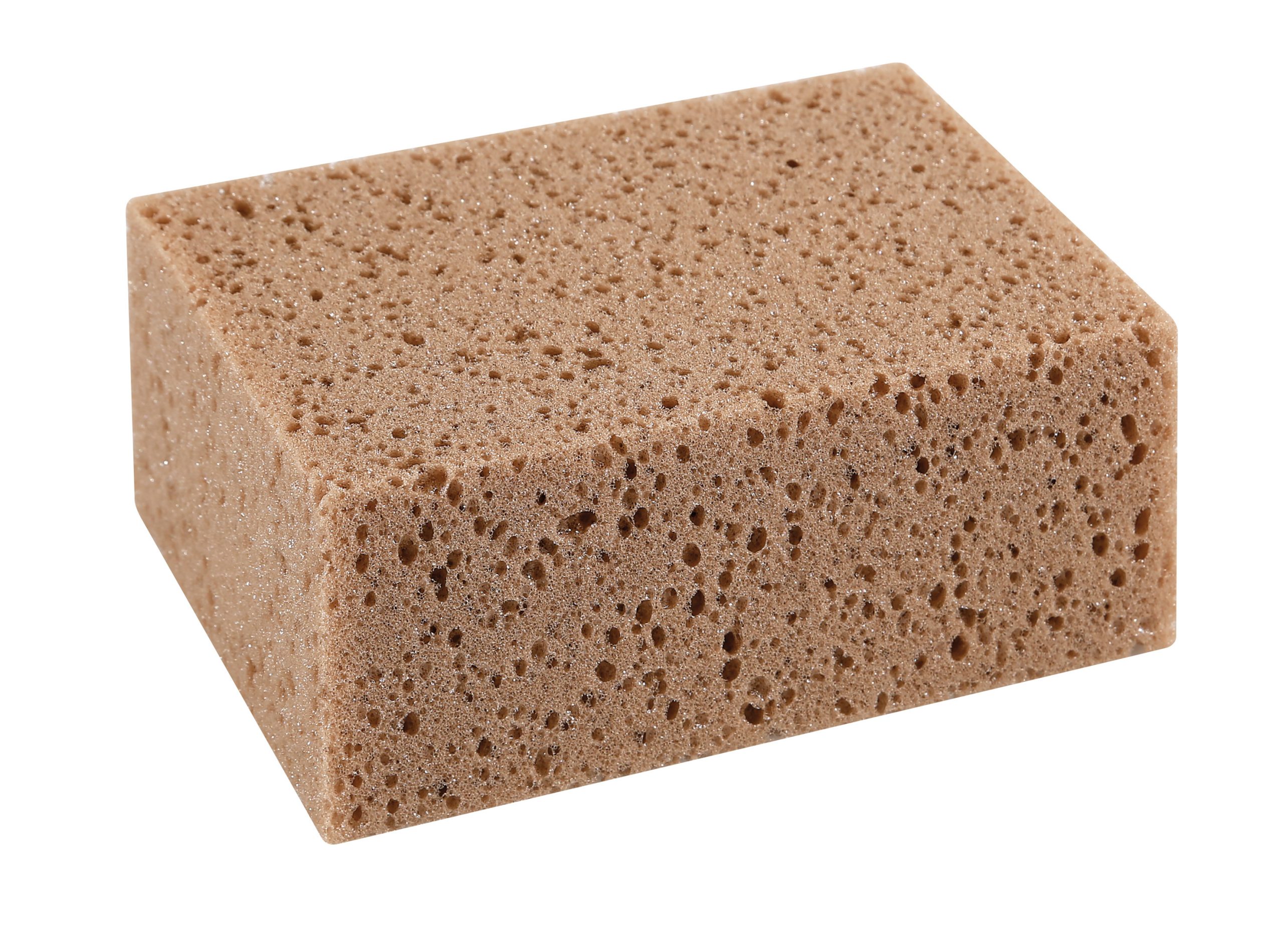 Spugna Lavaggio