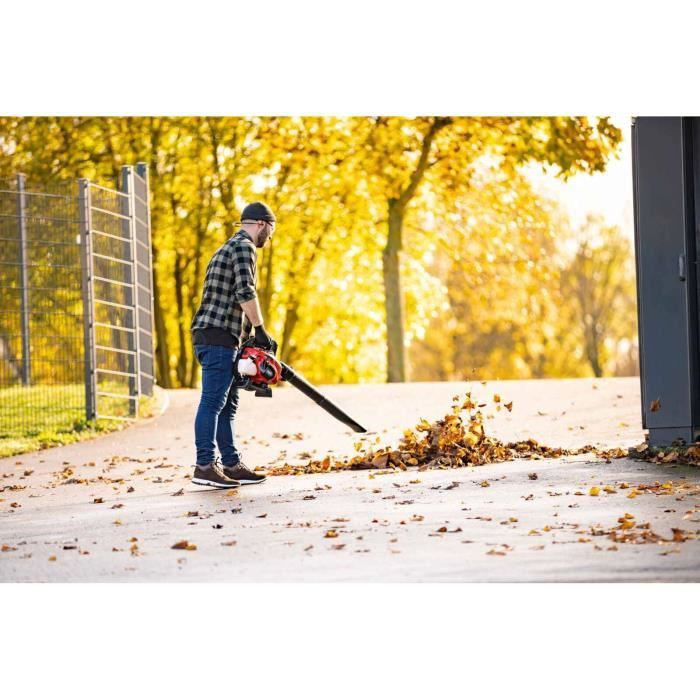 Aspirapolvere Termosoffiante Scheppach 4 In 1 - 25,4 Cm3 (lbh3500p) - Image 5