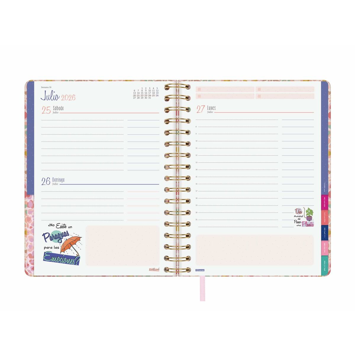 Agenda Finocam Talkual A5 15,5 X 21,7 Cm Dorato 2026 - Image 6