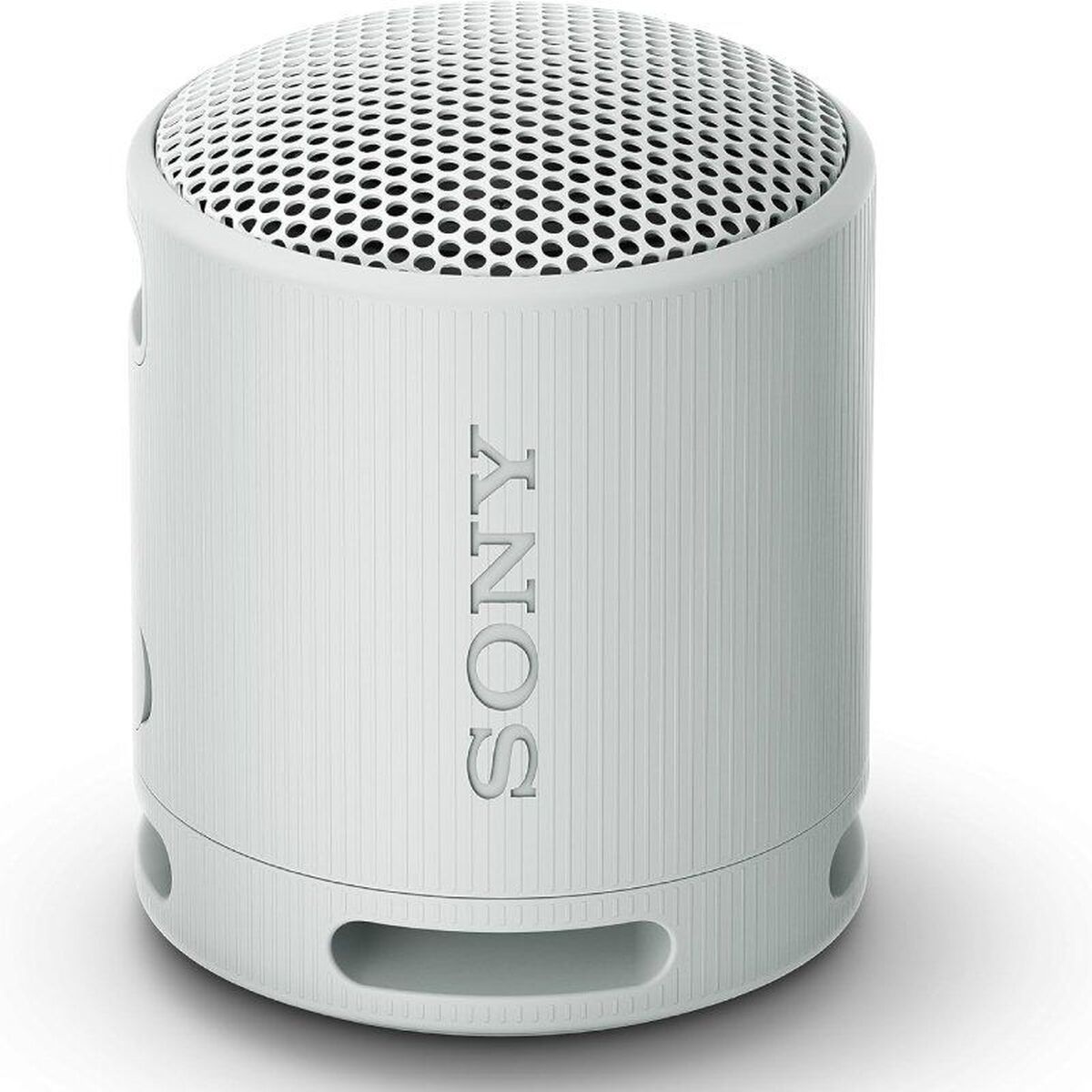 Altoparlante Bluetooth Portatile Sony Xb100 Grigio