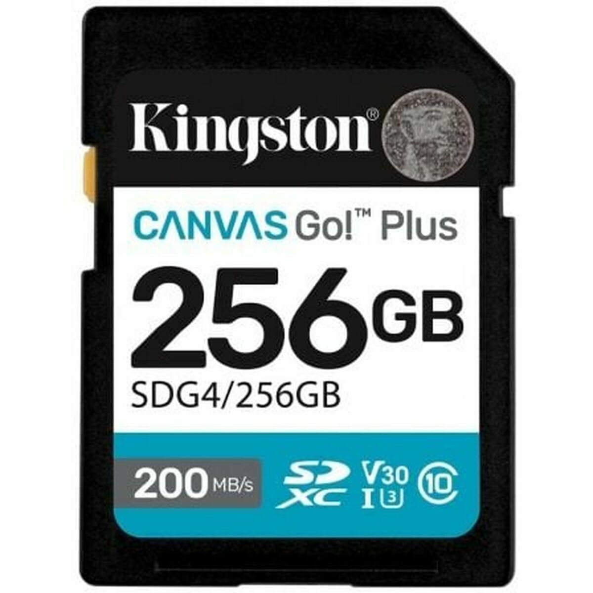Scheda Di Memoria Micro Sd Con Adattatore Kingston Sdg4/256gb 256 gb - Image 3