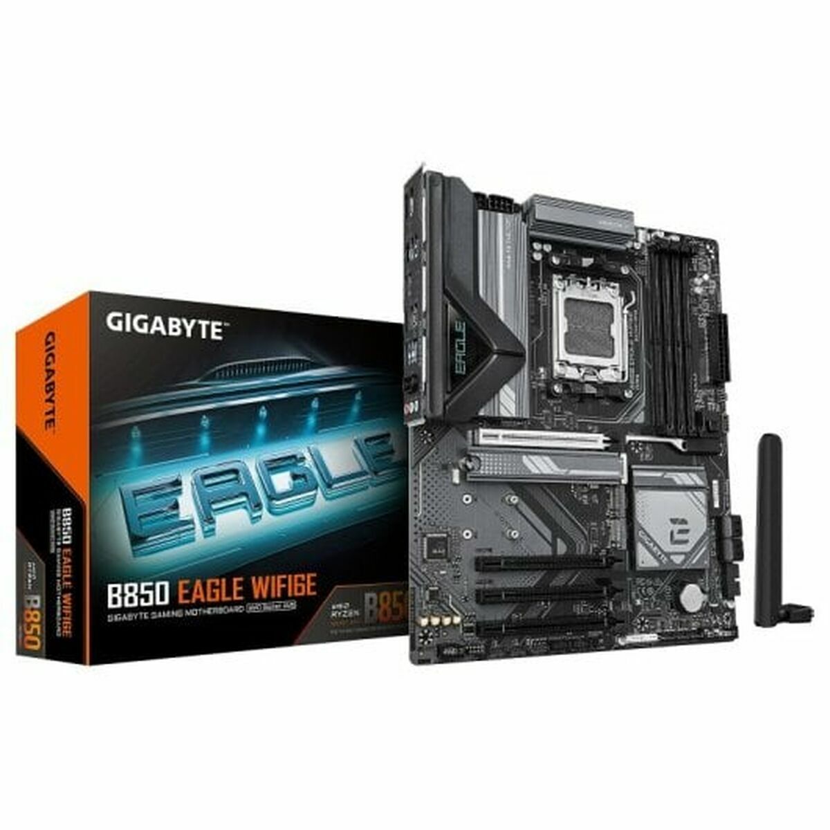 Scheda Madre Gigabyte Amd Amd Am5