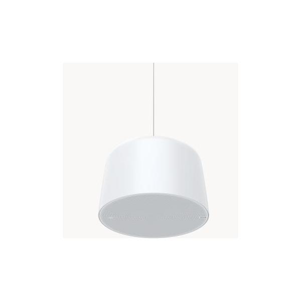 Axis C1510 Network Pendant Speaker Axis C1510 Network Penda (02389-001)