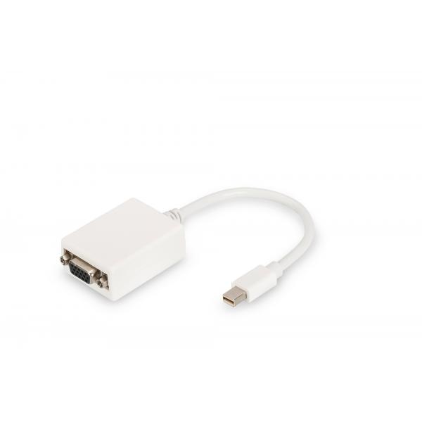 Digitus Cavo Adattatore Displayport