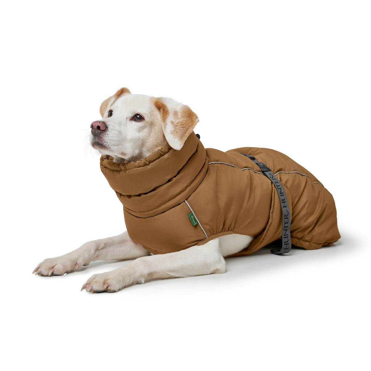 Abbigliamento Per Animali Domestici Hunter Paxson Marrone Poliestere - Image 4