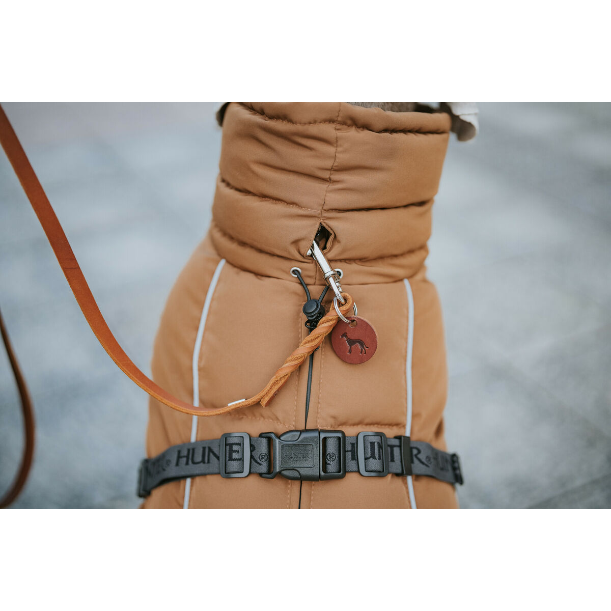 Abbigliamento Per Animali Domestici Hunter Paxson Marrone Poliestere - Image 6