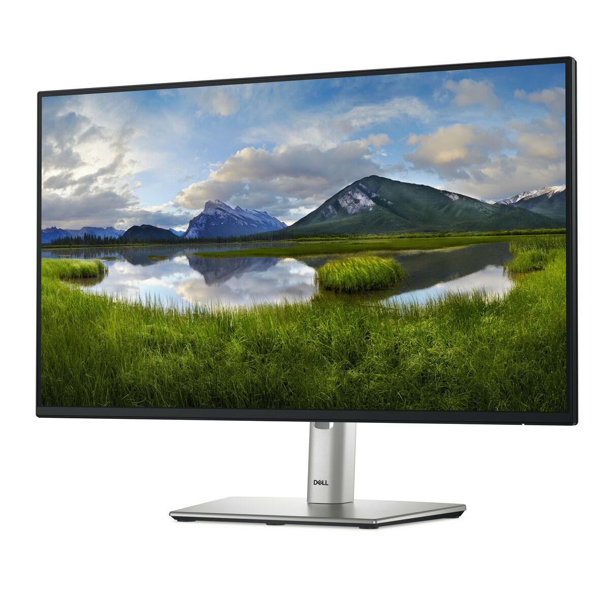 Monitor Dell P2425h 23,8" Full Hd 100 hz