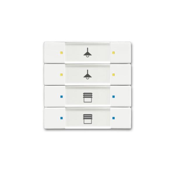 BuscH-Jaeger Tastsensor 4/8fach Multifunktion