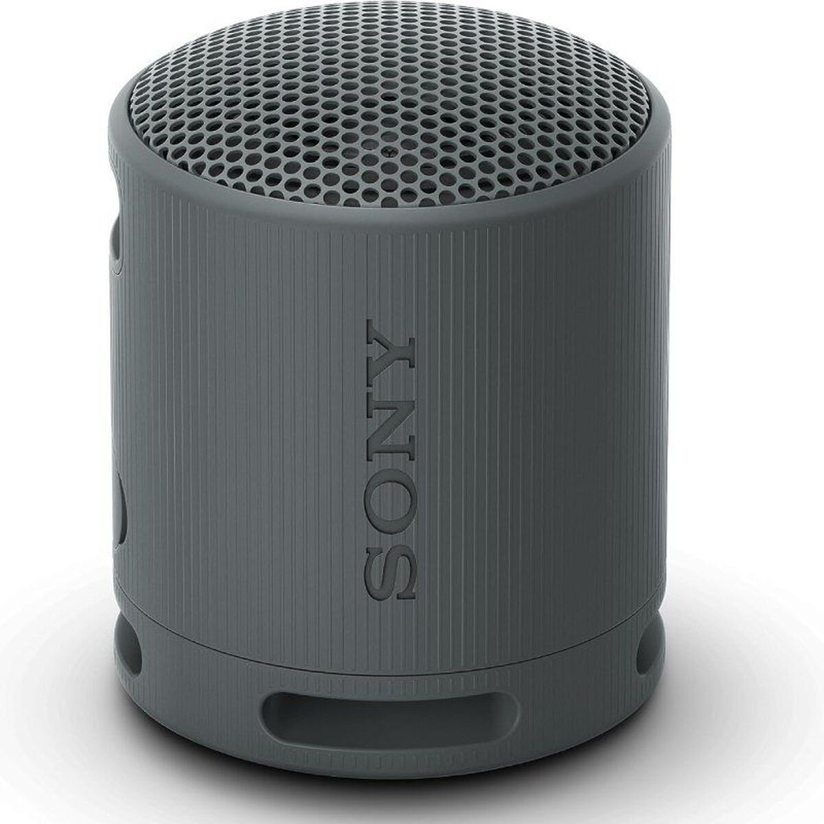 Altoparlante Bluetooth Portatile Sony Xb100 Nero