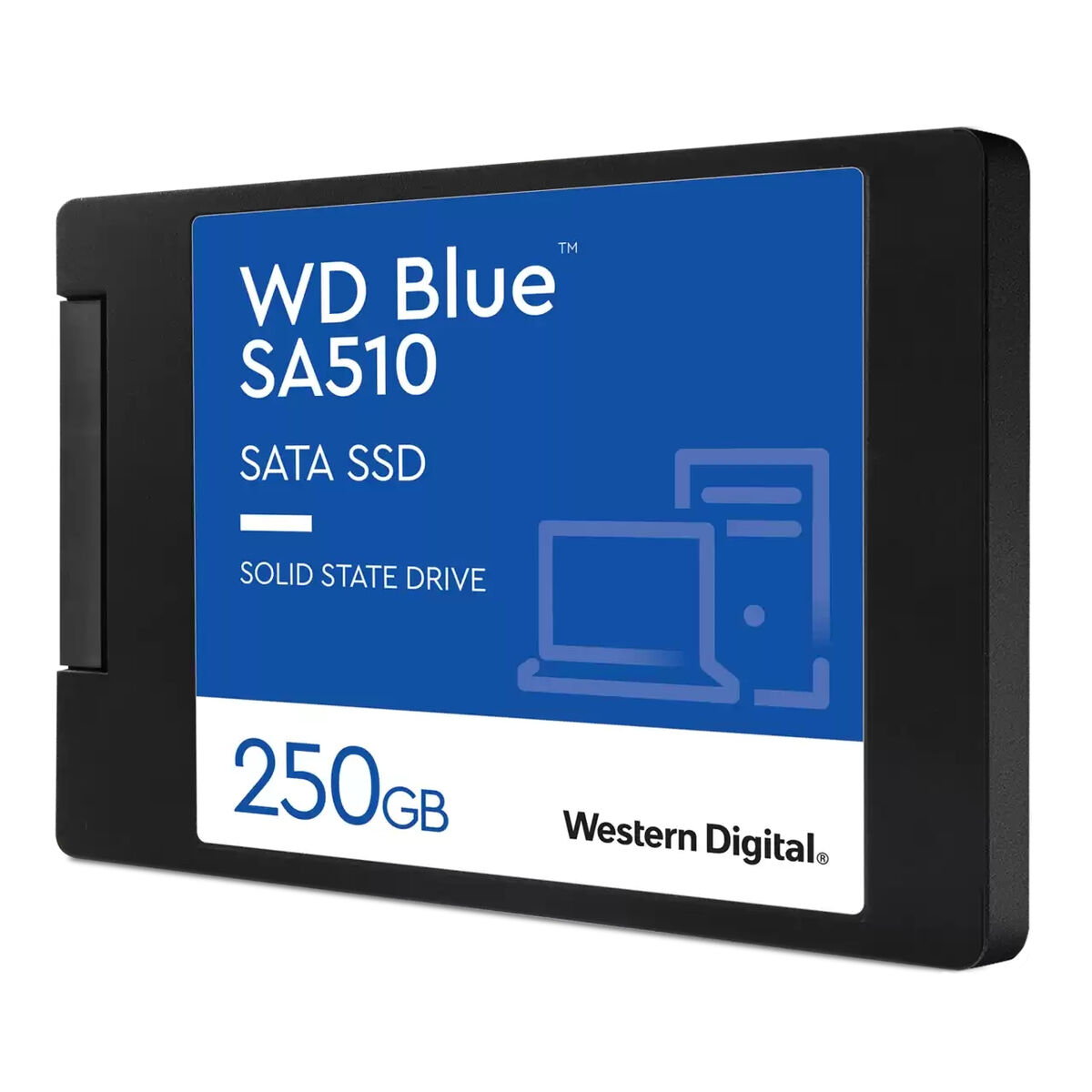 Hard Disk Western Digital Blue 250 Gb 2,5" Ssd