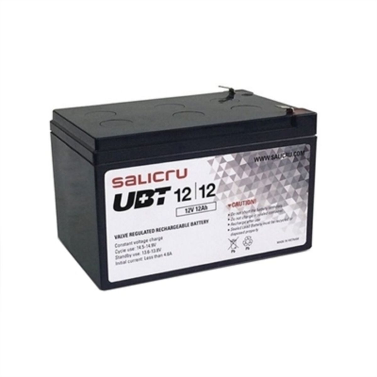 Batteria Per Gruppo Di Continuità Ups Salicru Ubt 12/12 12 Ah 12 V
