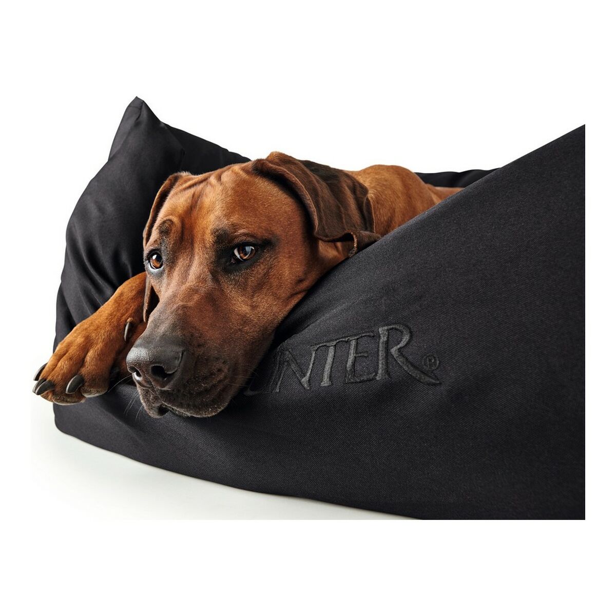 Divano Per Cani Hunter Gent Nero Poliestere Black (60 X 45 Cm) - Image 6