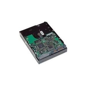 Hp - Festplatte - 1 Tb - Intern - 3.5" - SatA-300 - 7200 U/min - Puffer: 16 Mb (ge262aa)