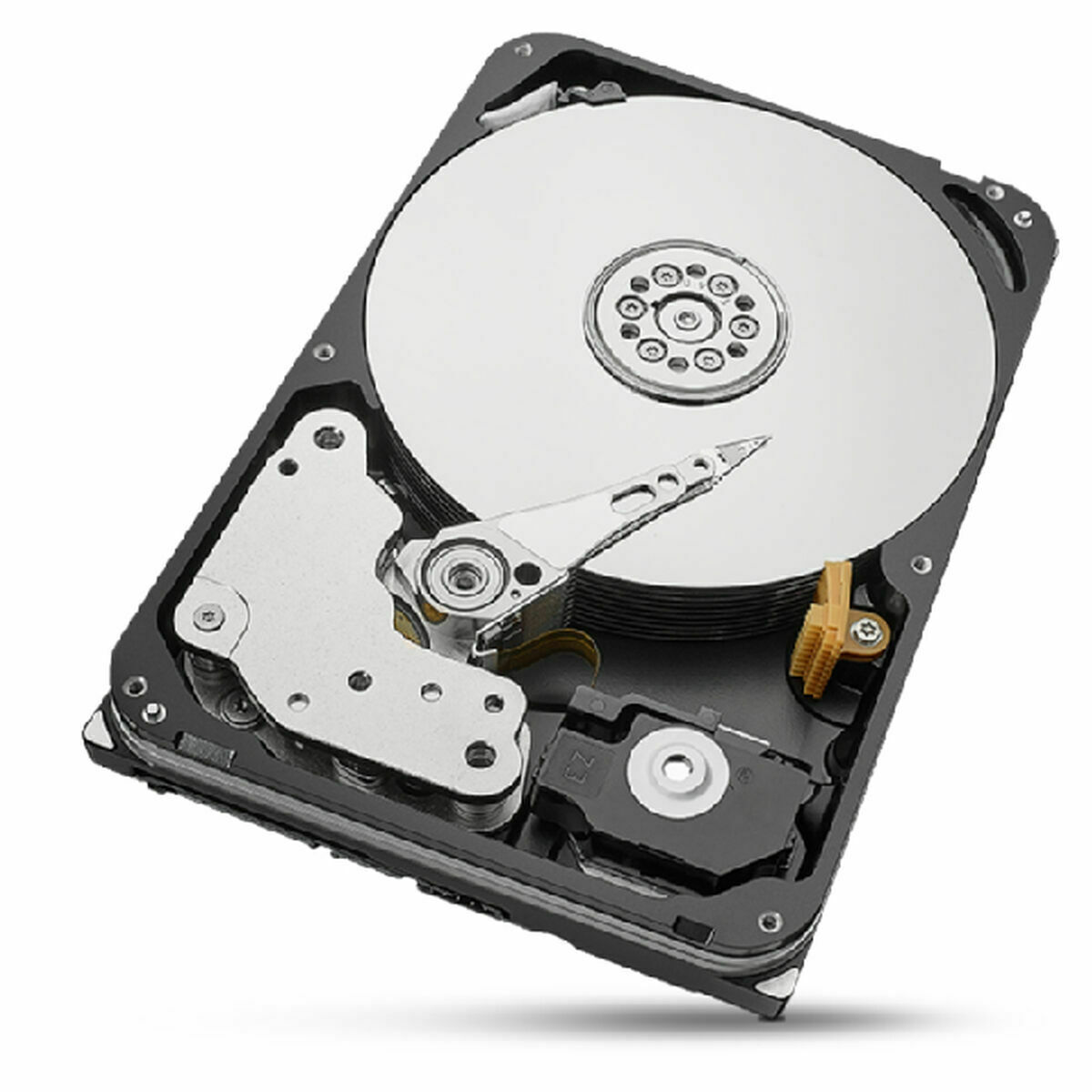 Hard Disk Seagate St20000nt001 3,5" 20 tb
