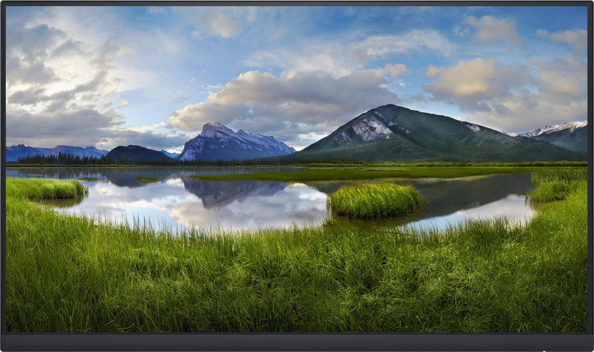 Dell P2422h - Ohne Standfuß - LeD-Monitor - 61 Cm (24") (23.8" Sichtbar) - 1920 X 1080 Full Hd (1080p) @ 60 Hz - Ips - 250 Cd/m² - 1000:1 - 5 Ms - hd