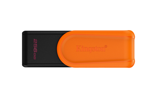 Kingston Pen Disk Usb 3.2 256gb Datatraveler Exodia