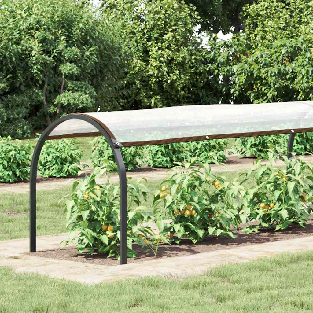 Telone Trasparente Con Occhielli 1x12 M In Polietilene