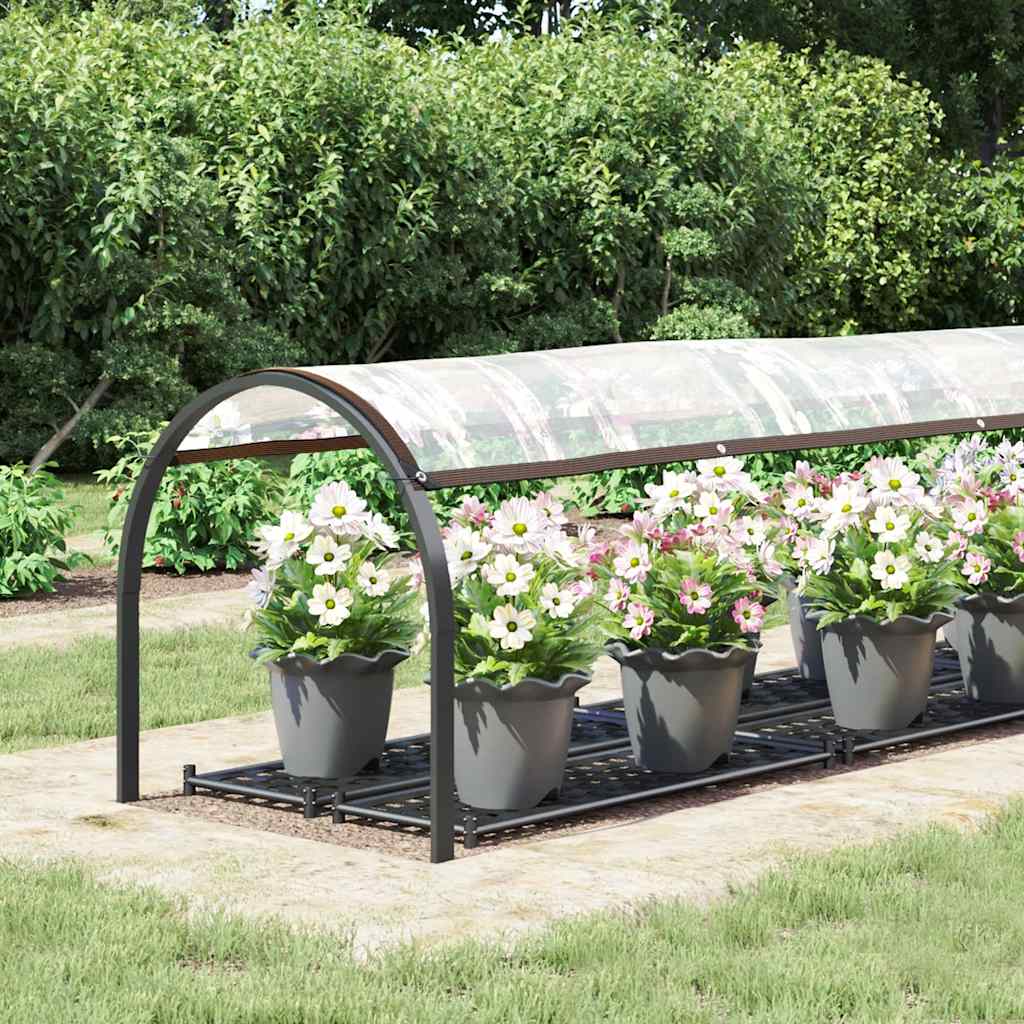 Telone Trasparente Con Occhielli 1x4 M In Polietilene