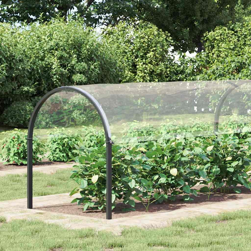 Telone Trasparente Con Occhielli 2x8 M In Pvc