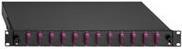 Rutenbeck - Glasfaserkabelkiste - Extensible - Sc Duplex Sm X 12 - Schwarz, Ral 9005 - 1u - 48.3 Cm (19") (2280308120)