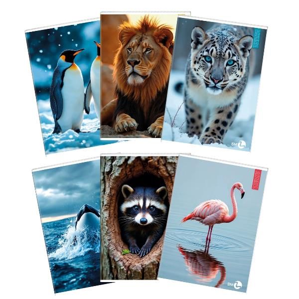 CF 10 QUADERNI ANIMAL A4 80GR R.B