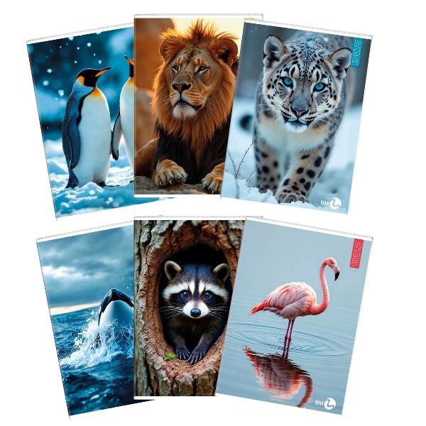 CF 10 QUADERNI ANIMAL A4 80GR R.C