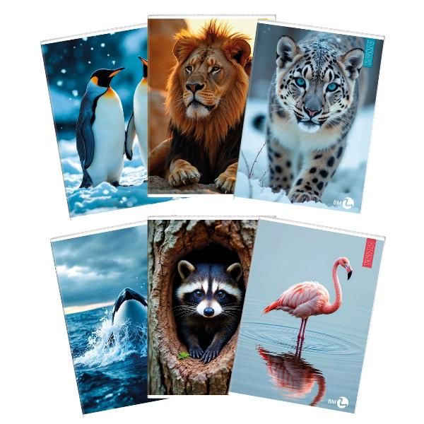 CF 10 QUADERNI ANIMAL A4 80GR R.4MM