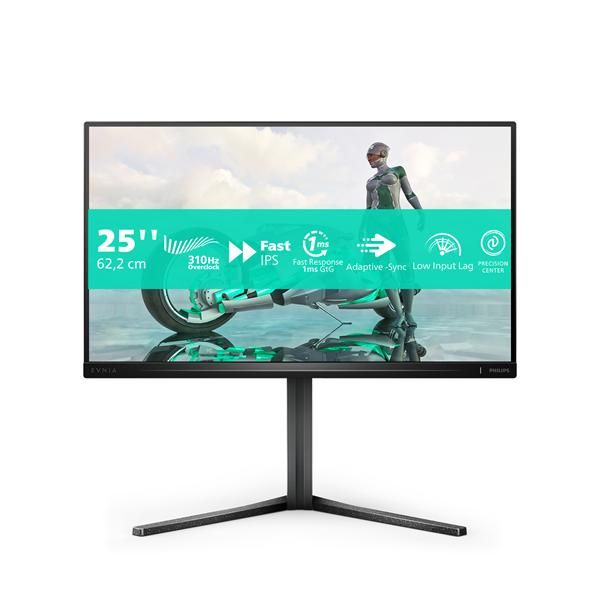 MONITOR 24 5 300HZ REG ALT GAMING