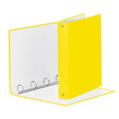 RACCOGL.MEETING 4R GIALLO VIVI22X30