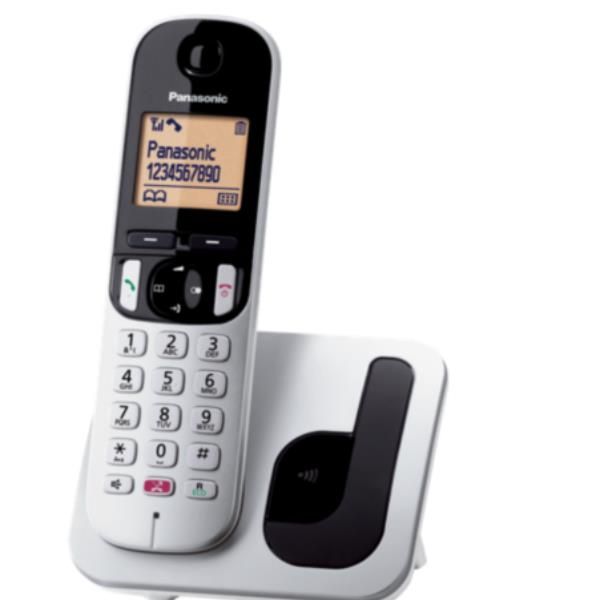 CORDLESS TGC260 SILVER SEGRET - Image 3