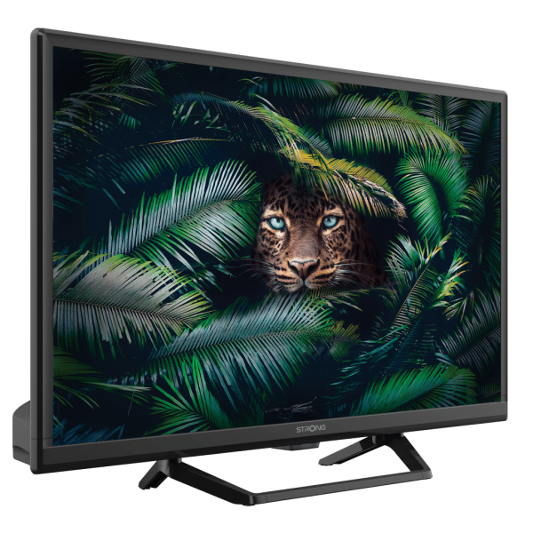 24 HD READY T2/S2/C ST CEN 220/12V - Image 4