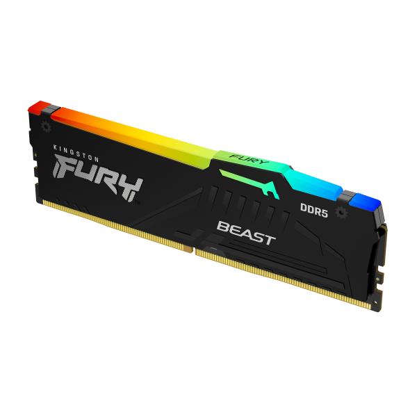 Fury Ddr5 8gb 5600mt Dimm Rgb