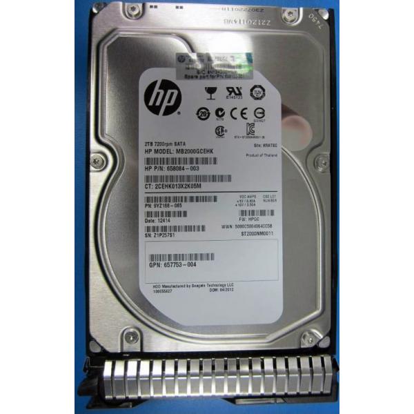 HPE 2TB hot-plug SATA HDD disco rigido interno 7200 Giri/min 3.5 (2TB 6G SATA 7.2k 3.5in SC MDL - 2TB hot-plug SATA HDD, 3.5, - 2000 GB, 7200 RPM - Warranty: 36M)
