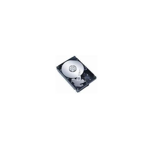 CoreParts SA1T2I838S disco rigido interno 1 TB 7200 Giri/min 2.5 SAS (2.5 SAS Hotswap 1TB 7200RPM - Dell PowerEdge, hotswap - 6-Gb/s - Warranty: 12M)