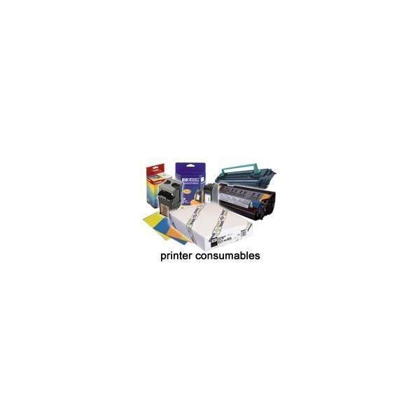 Epson Carta fotografica lucida Premium [250], in rotoli da111,8cm [44''] x 30, 5m. (PREM GLOSSY PHO PAPER-44IN 30 5M 260)