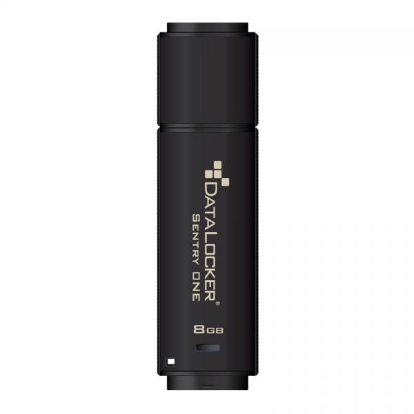 DataLocker Sentry One unità flash USB 128 GB USB tipo A 3.2 Gen 1 [3.1 Gen 1] Nero (Sentry One Secure USB 3.1 GEN 1 FIPS 140-2 Level 3 256-BIT AES 128GB)