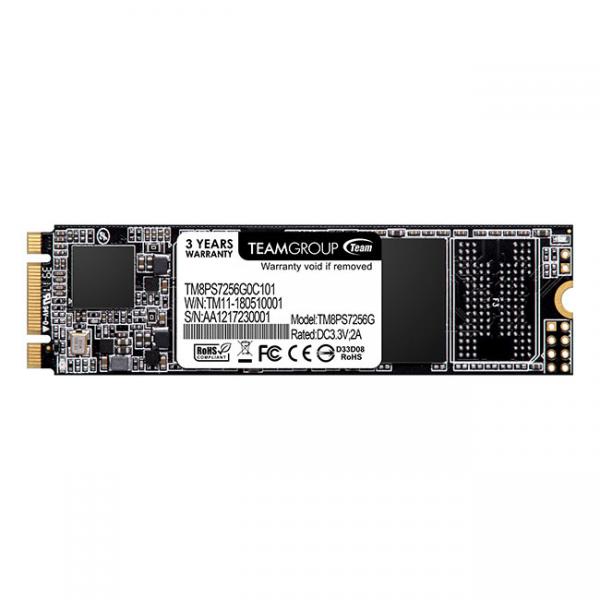 Team Group MS30 256 GB M.2 Serial ATA III (Team MS30 [TM8PS7256G0C101] 256GB, M.2 Sata Interface, PCIe Gen3, Read 550MB/s, Write 470MB/s, 3 Year Warranty)