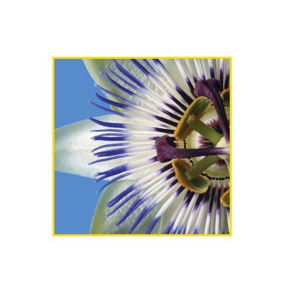 Sihl PosterColor X Bianco Opaco (POSTERCOLOR X 180 MATT 54IN 30M)