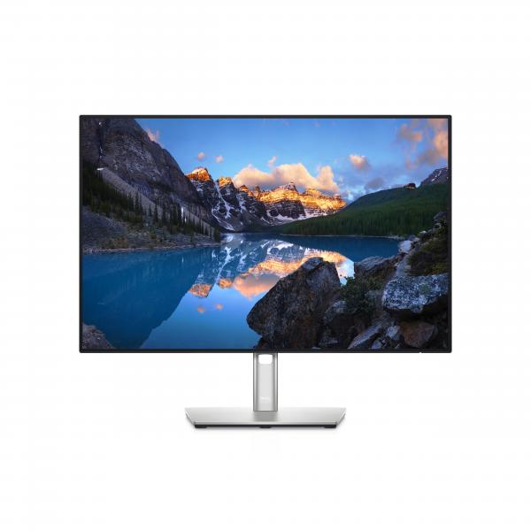 DELL UltraSharp U2421E Monitor PC 61,2 cm [24.1] 1920 x 1200 Pixel WUXGA LCD Argento (UltraSharp U2421E 61.2 cm - [24.1] 1920 x 1200 pixels - WUXGA LCD Black, Silver UltraSharp U2421E, 61.2 cm [24.1]