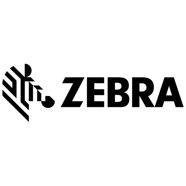 Zebra P1112640-219 testina stampante (PRINTHEAD 300DPI ZD421T - .)