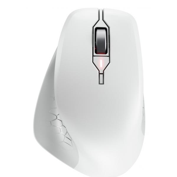 CHERRY JW-8550-0 mouse Universale Mano destra RF Wireless Ottico 4000 DPI (CHERRY Mouse STREAM COMFORT Wireless white Ergonomisch [Rechtsh?nder], 4000 dpi)