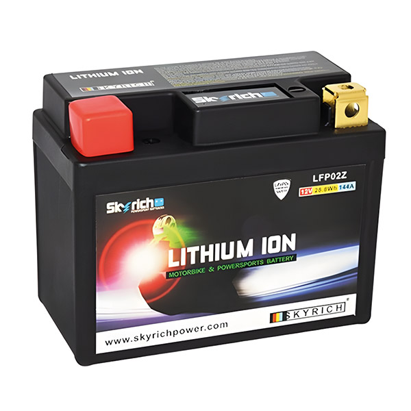BATTERIA SKYRICH LITIO LFP02Z 12.8V