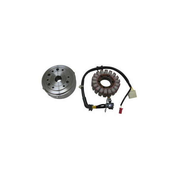 VOLANO COMPLETO DENSO HONDA SH 300 07/10