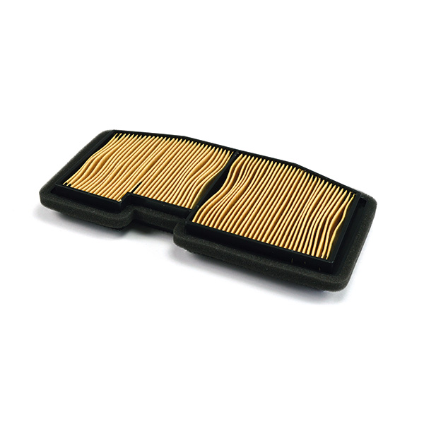 FILTRO ARIA TRIUMPH 675 DAYTONA/STREET T