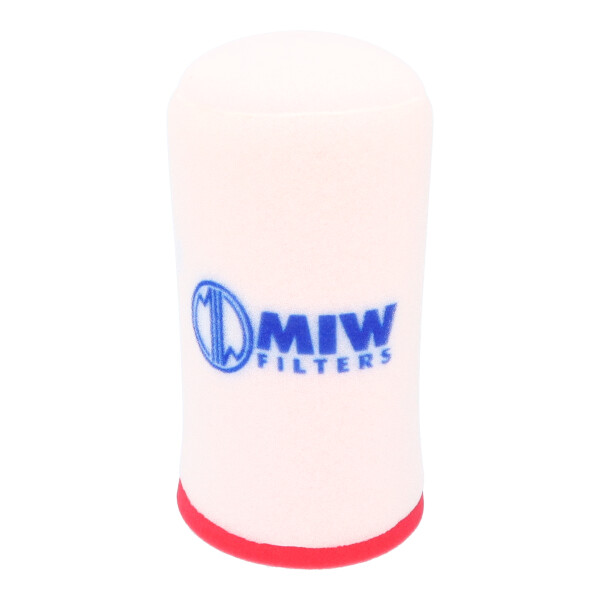 FILTRO ARIA MIW YFM700R