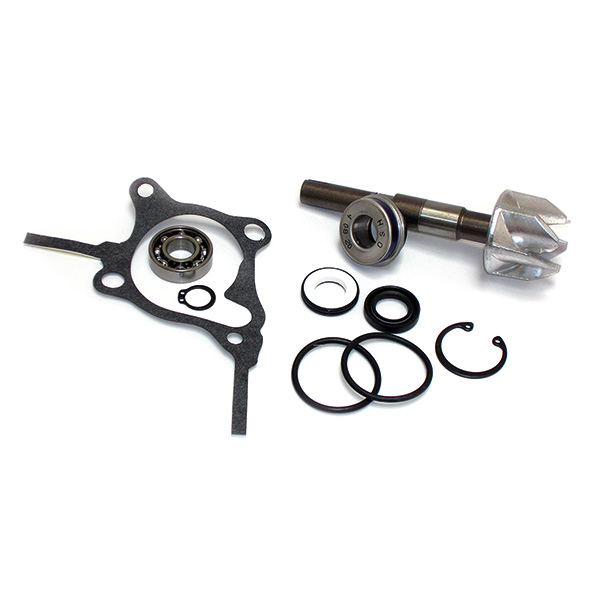 KIT RIPARAZIONE POMPA ACQUA HONDA 250 FORESIGHT/JAZZ