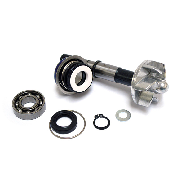KIT RIPARAZIONE POMPA ACQUA DAELIM S3 125FI-S300 (SV250)