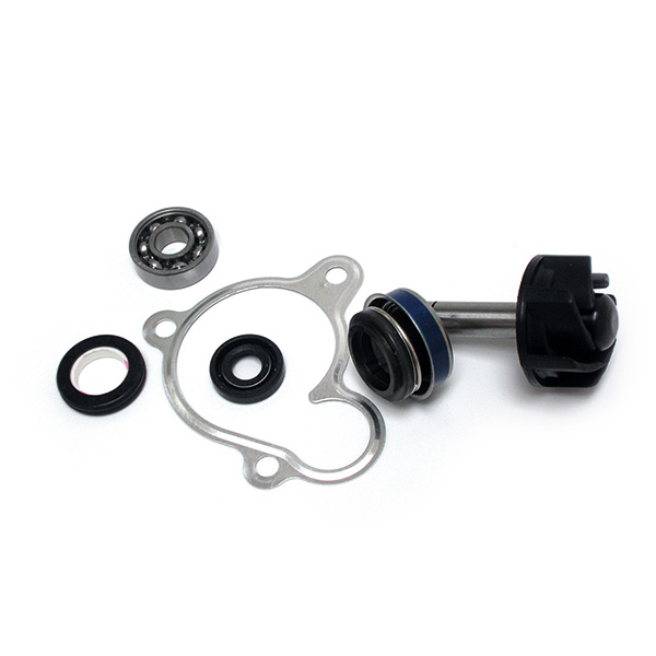 KIT RIPARAZIONE POMPA ACQUA YAMAHA 250 MAJESTY 00/>